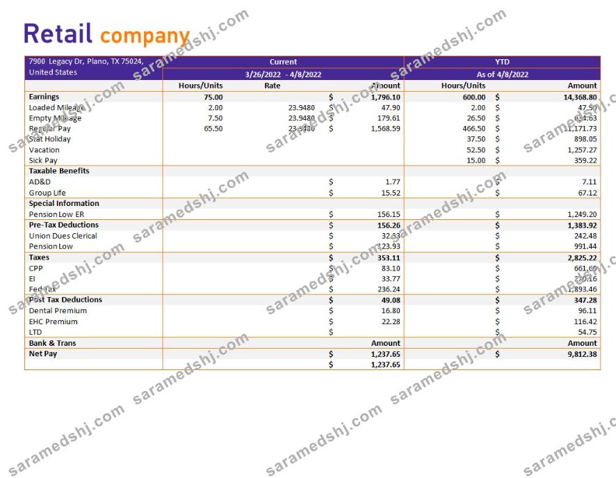 retail company earning statement in Word and PDf formats